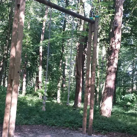 Appartamento Apartma Tr 43 *